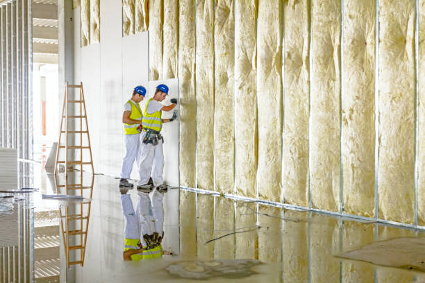 Best Spray Foam Insulation in USA